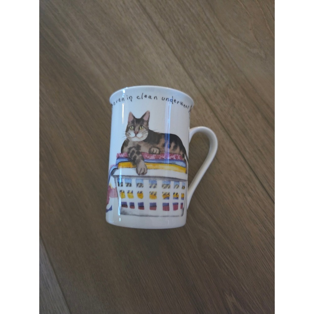 Kent Pottery Cats Sleep Anywhere Even In Clean Underwear Fine China Mug White